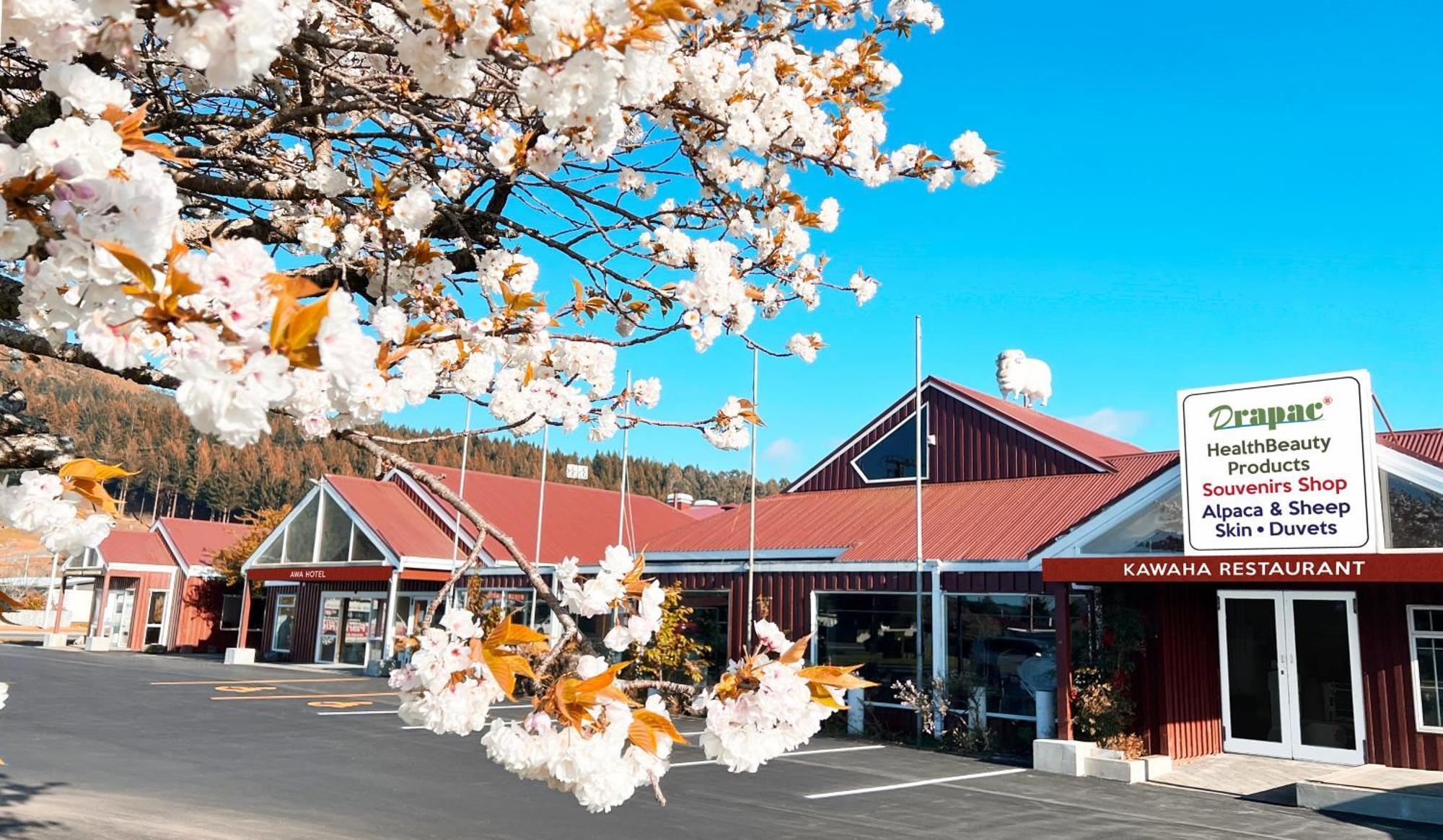 Awa Hotel Rotorua Eksteriør bilde